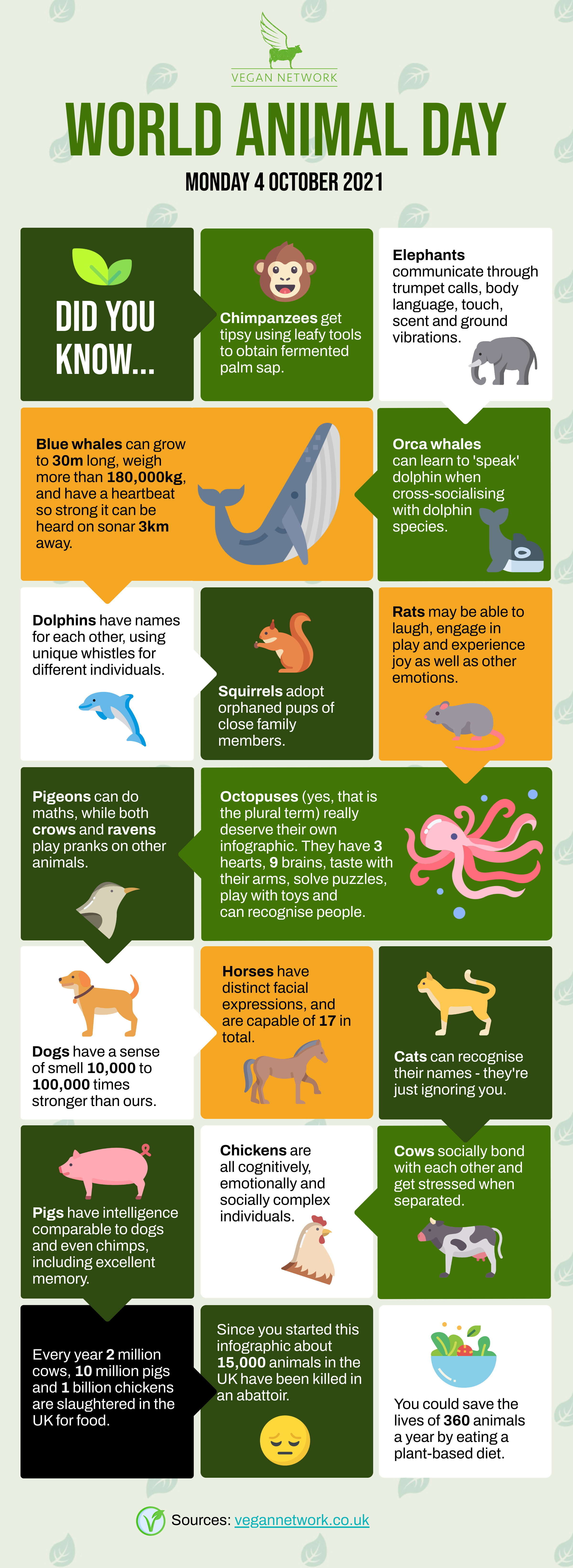 World Animal Day infographic