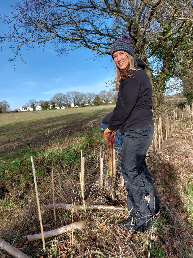 Kelly on the hedgerow 
