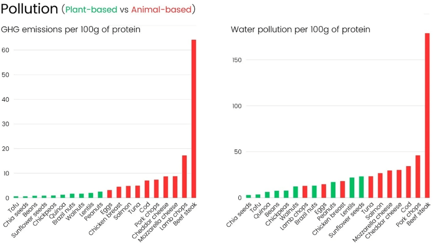 Two bar charts compare greenhouse-gas emissions and water pollution per 100g of protein across plant and animal foods.